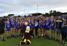 Lincoln South triumphant in under 16s grand final