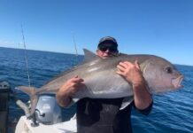 Anglers continue to catch bluefin tuna around Boston Island