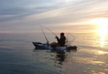 Commercial fishers wary as recreational numbers rise
