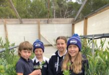 Volunteers needed to regenerate coastline