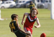 Under 12 footy stars shine