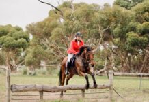 A green welcoming at Winndie