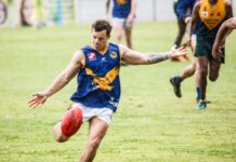 City aims to enjoy shield campaign