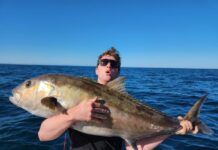 Squid and whiting in good numbers