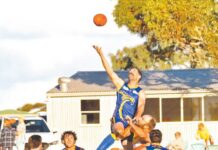 Great Flinders bringing wealth of experience to shield