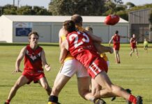 Premiers stunned by fast-finishing Souths