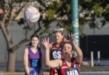 Wins for Wayback, Boston