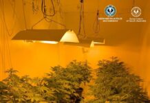 Drugs seized in Port Lincoln