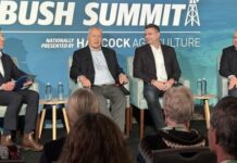 Regional issues discussed at summit