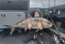 Whiting landed around Boston Island