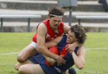 Wayback celebrates with victory