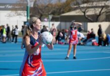 Comprehensive Wayback win