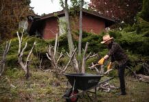 Be prepared for bushfire season