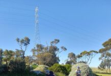 Medal success for Darley