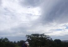 Cheriton claims stroke win