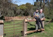 Inspiration opens ‘magic gate’