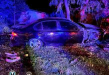 Learner drink-driver crashes at Coffin Bay