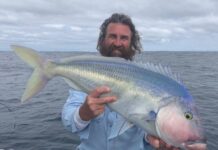 Garfish in good numbers around Lincoln