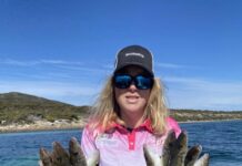 Good numbers of whiting