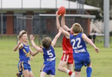 Juniors show their ability