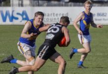 Marble Range on track for glory