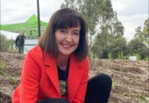 More single-use plastics banned