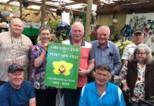 Spring orchid show success