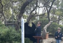 Message of hope at unveiling