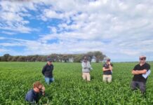 Tools to help make better decisions