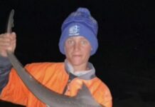 Whiting around Lincoln National Park