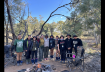 Students learn new skills in program