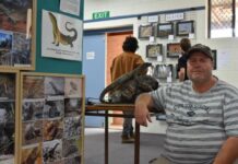 Educating community on region’s reptiles