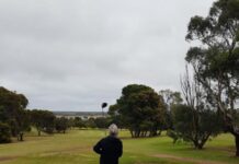 Clement wins mixed stableford golf