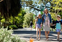 Report your risky walks