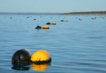 Aquaculture policy updated for expansions