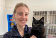 Funds boost before busy period