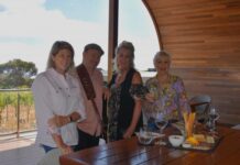 Festive selection of wines at event