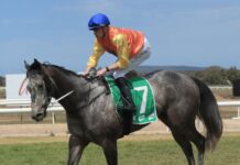 Artful Ambition drives it home