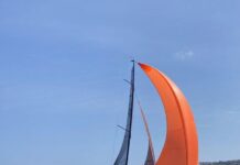 Mighty Fine Lyons first over line