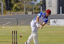 New look for Henderson Shield