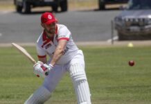 Tasman hands SES first loss