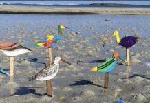 Migratory birds recognised at event
