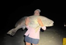 Dyer marks monster mulloway