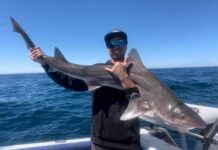 Time to chase the silver ghost