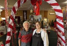 Christmas Tree cheer as festive season begins