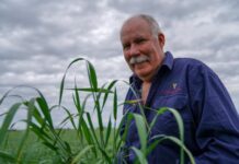 Trust applications open for 2024 funding