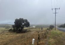 Wintry weather in December