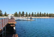 Council clear debris from jetty area