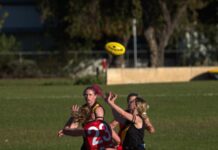 Tigers roar into season break