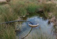 Waterhole management important for dry conditions